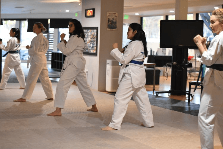 Adult - Traditional TKD